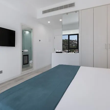 Hotel Occidental Palmas