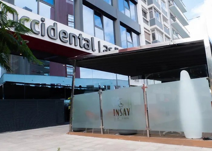 Hotel Occidental Palmas