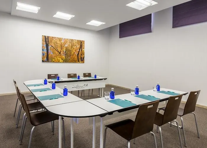 Occidental Palmas Hotel 4*