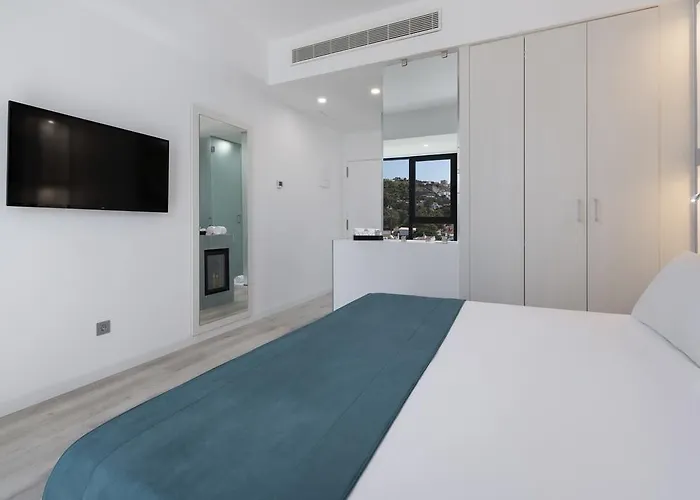 Hotel Occidental Palmas