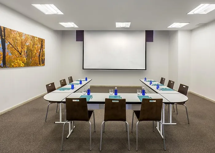 Hotel Occidental Palmas 4*